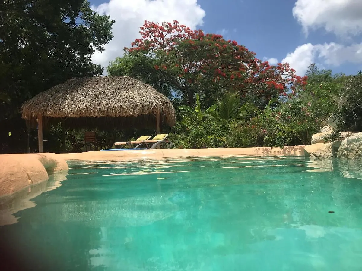 Bed & Breakfast B&B Villa Zomerland Julianadorp