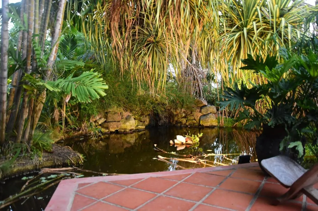 Bed & Breakfast B&B Villa Zomerland Julianadorp