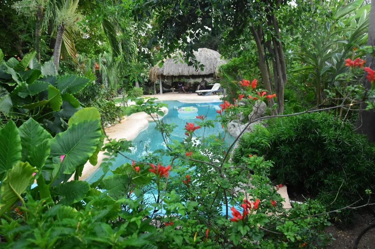 B&B Villa Zomerland Julianadorp 2*,