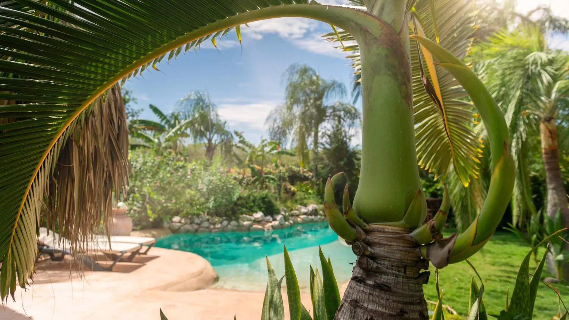 B&B Villa Zomerland Julianadorp