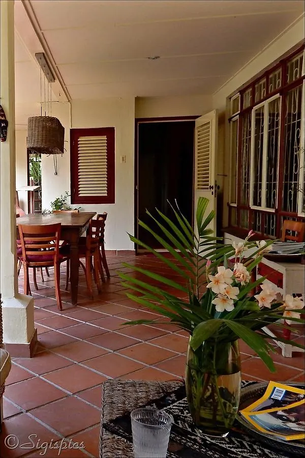 Frühstückspension B&B Villa Zomerland Julianadorp