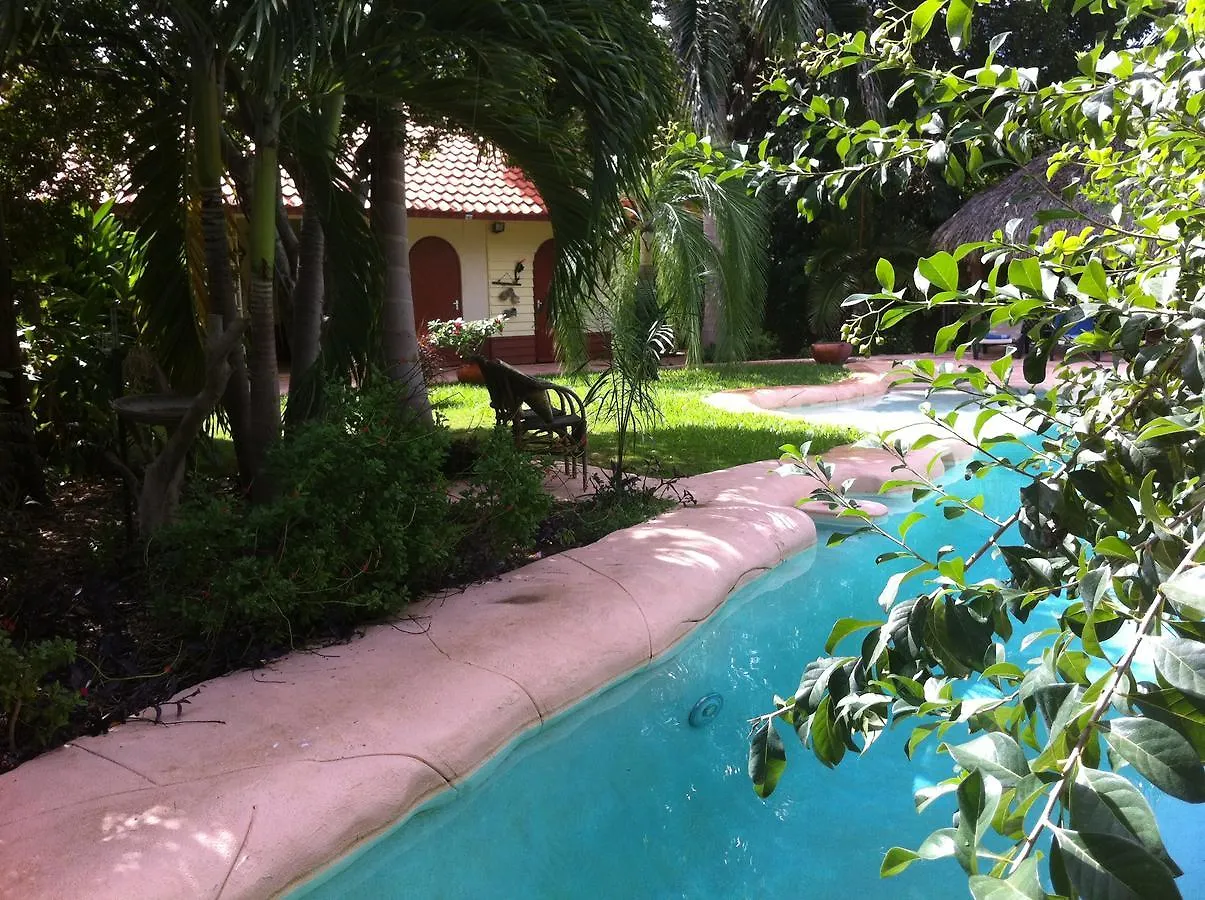 Bed & Breakfast B&B Villa Zomerland Julianadorp