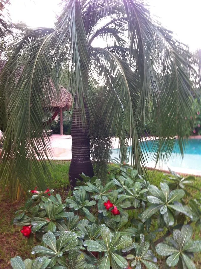 Bed & Breakfast B&B Villa Zomerland Julianadorp