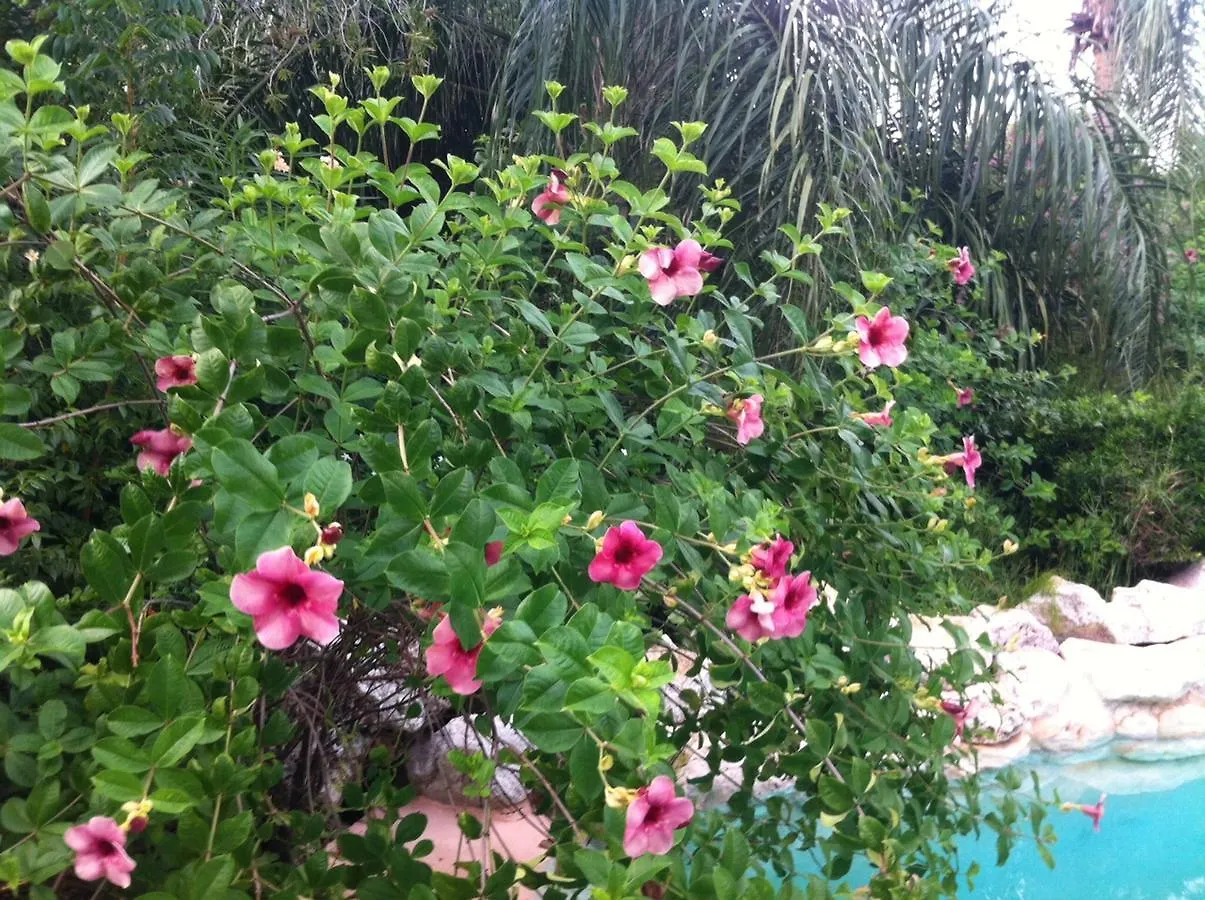 ** Bed & Breakfast B&B Villa Zomerland Julianadorp Curaçao