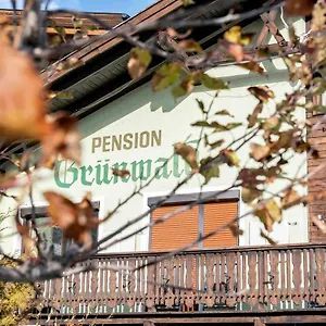  Guest house Gruenwald Austria