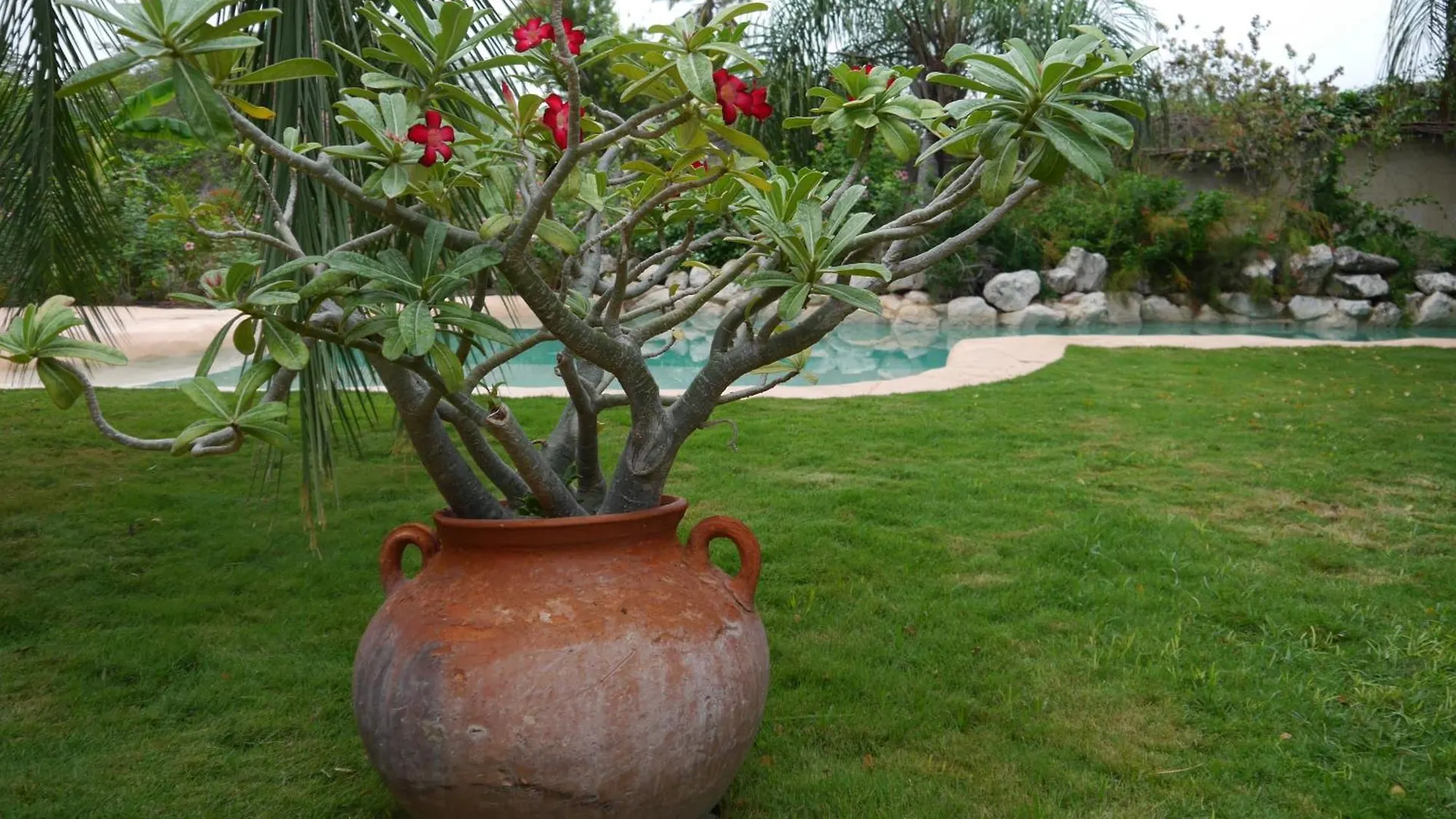 B&B Villa Zomerland Julianadorp Couette-café